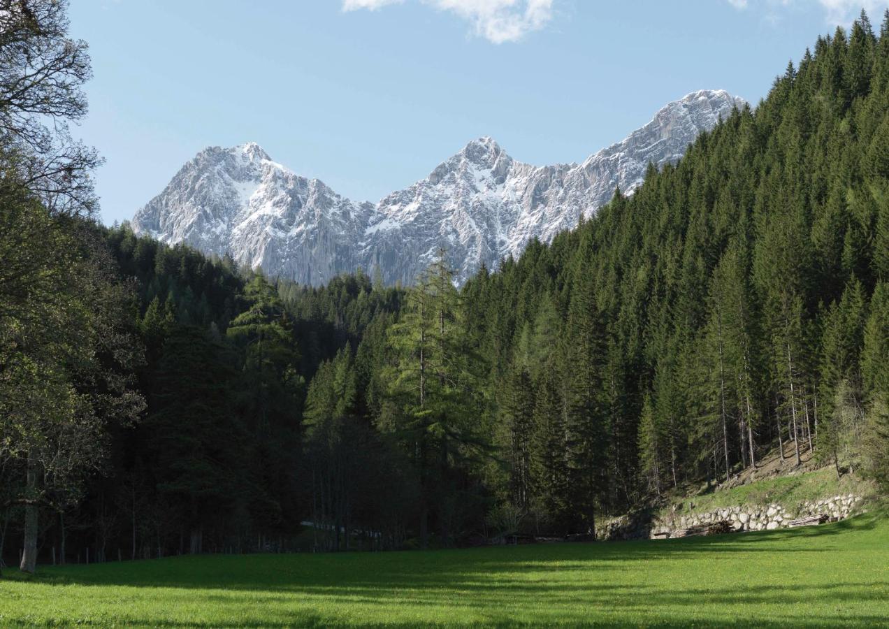 Alpenrose Boutique Chalet Gretl 람자우 암 다흐스타인 외부 사진