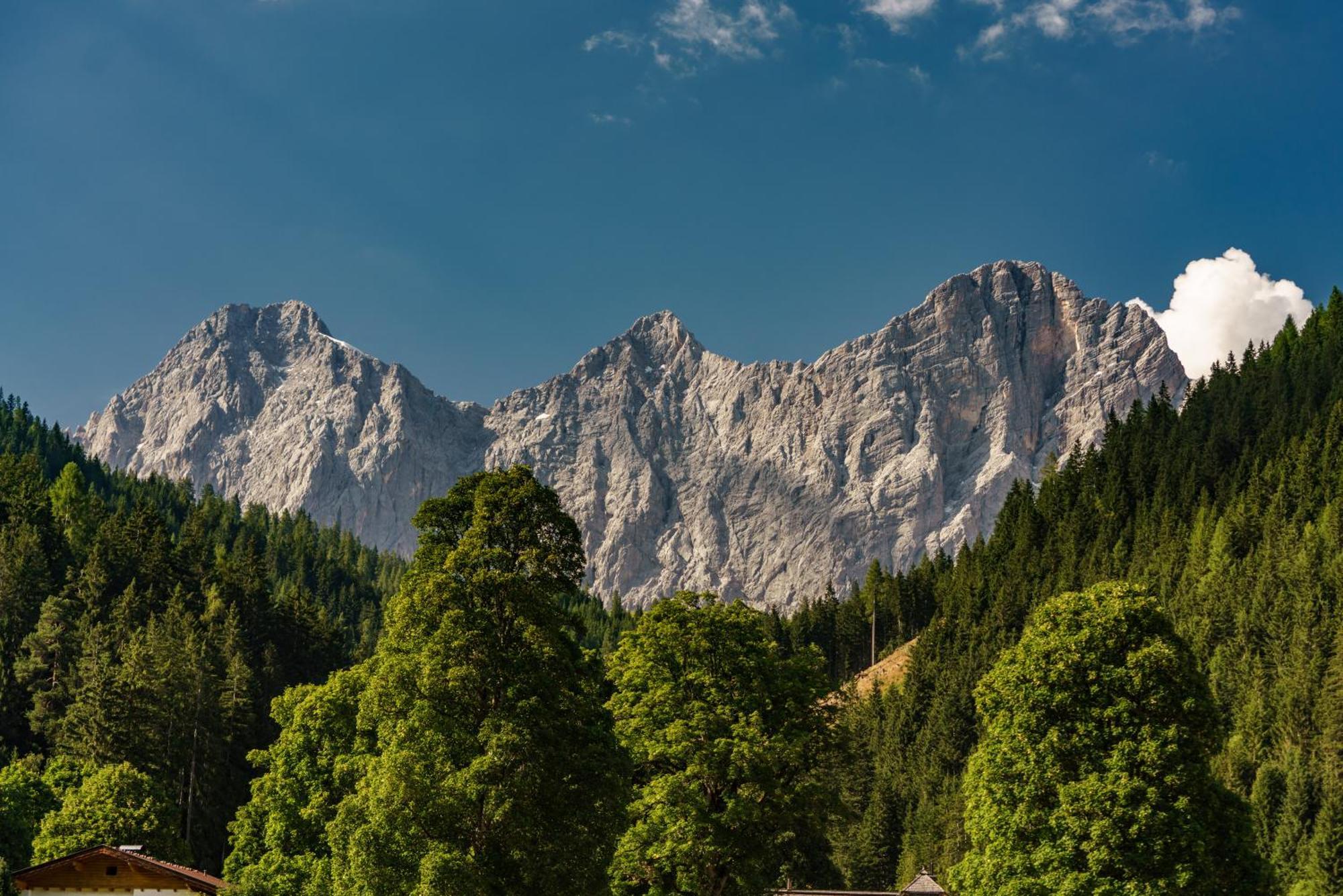 Alpenrose Boutique Chalet Gretl 람자우 암 다흐스타인 외부 사진