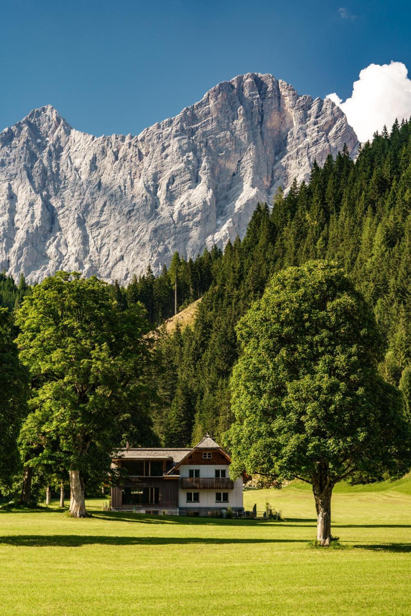 Alpenrose Boutique Chalet Gretl 람자우 암 다흐스타인 외부 사진