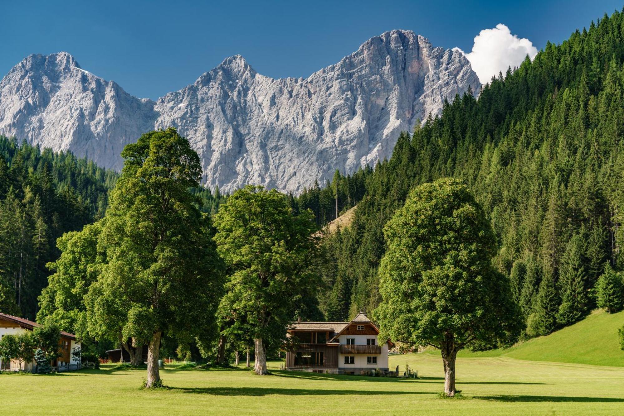Alpenrose Boutique Chalet Gretl 람자우 암 다흐스타인 외부 사진